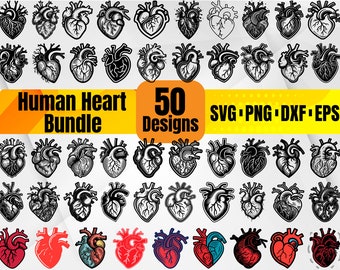 Pacchetto SVG di cuore umano - 50 disegni di cuore anatomico per Cricut e tatuaggi - SVG medico png dxf eps per artigianato e sublimazione