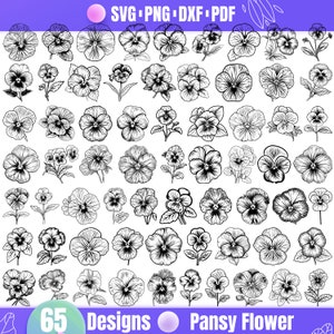 Stiefmütterchen Blume SVG - Elegantes Blumenmuster, lebendige Stiefmütterchen Blüte, naturinspirierte Clipart für Cricut und Sublimation