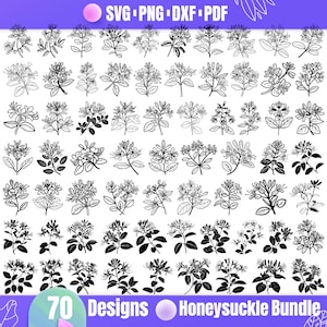 High Quality Honeysuckle SVG Bundle, Honeysuckle dxf, Honeysuckle png, Honeysuckle vector, Honeysuckle clipart, Honeysuckle Flower