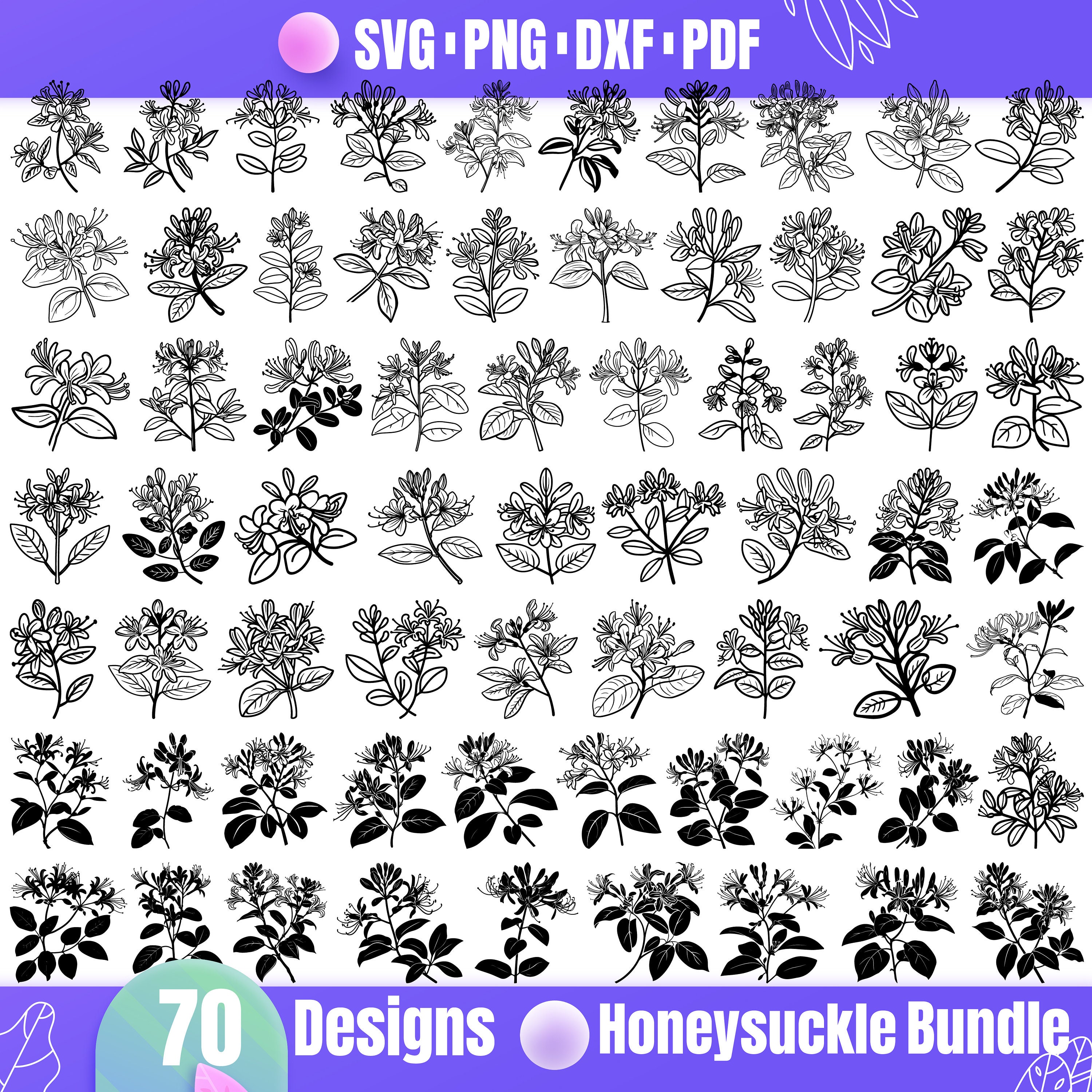 High Quality Honeysuckle SVG Bundle, Honeysuckle dxf, Honeysuckle png, Honeysuckle vector, Honeysuckle clipart, Honeysuckle Flower