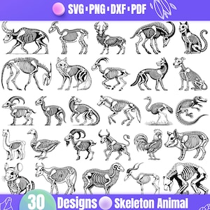 May include: A set of 30 black and white skeleton animal illustrations. The animals include a cat, dog, wolf, deer, cow, goat, sheep, rooster, pig, llama, ostrich, alligator, and more. The illustrations are ideal for use in crafting, scrapbooking, or digital design.