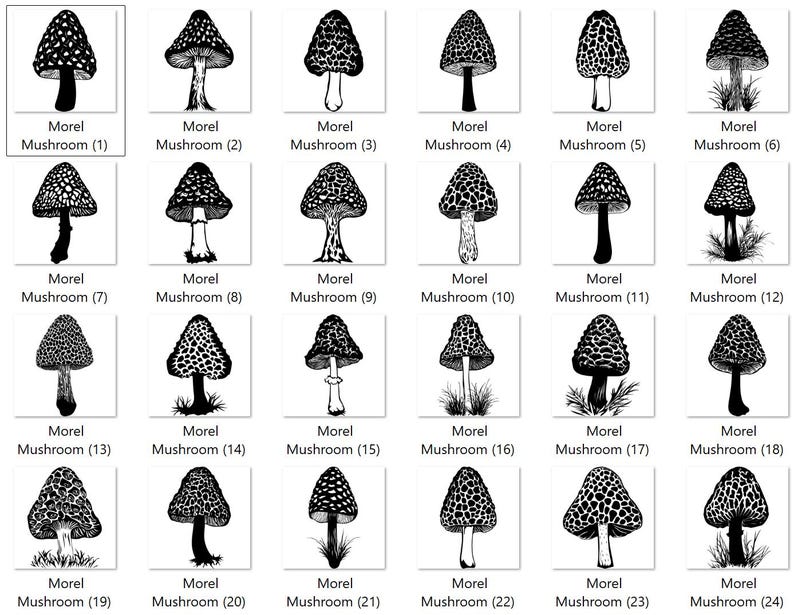 High Quality Morel Mushroom SVG Bundle, Mushroom Vector, Morel Design