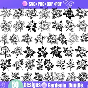 Gardenia Flower SVG Bundle – 50 Gardenia Clipart and Floral Line Art Designs for Cricut, Silhouette, Sublimation & Craft Projects