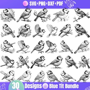 May include: A set of 30 black and white illustrations of blue tits, a small songbird, in various poses. The illustrations are perfect for crafting, scrapbooking, and other creative projects.