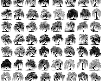 High Quality Willow Tree SVG Bundle, Willow Tree dxf, Willow Tree png, Willow Tree vector, Willow Tree clipart, Weeping Willow svg