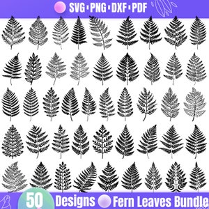 Fern Leaves SVG Bundle — 50 Botanical Illustrations and Nature Clipart Designs