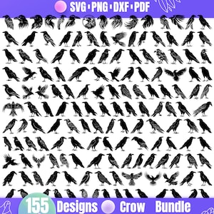High Quality Crow SVG Bundle, Flying Crow svg, Black Crow svg, Wild Crow svg,Raven svg, Crow dxf, Crow png, Crow vector, Crow clipart