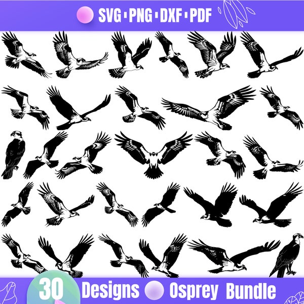 High Quality Osprey SVG Bundle, Osprey dxf, Osprey png, Osprey vector, Osprey clipart, Eagle svg, Predator Bird svg, Bird of Prey svg