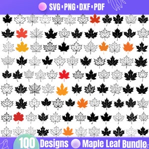 Hochwertiges Ahornblatt SVG-Bundle, Ahornblatt dxf, Ahornblatt png, Ahornblatt Vektor, Ahornblatt Clipart, Ahornblätter svg, rotes Ahornblatt