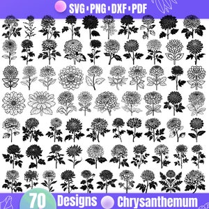 High Quality Chrysanthemum SVG Bundle, Chrysanthemum dxf, Chrysanthemum png, Chrysanthemum vector, Chrysanthemum clipart, Wildflower svg