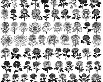 May include: A set of 70 black and white line art designs of chrysanthemums. The designs are perfect for crafting, scrapbooking, and other creative projects.