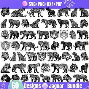 May include: A set of 60 black and white jaguar silhouette designs. The designs include different poses, angles, and sizes of the jaguar. The text "60 Designs Jaguar Bundle" is at the bottom of the image.