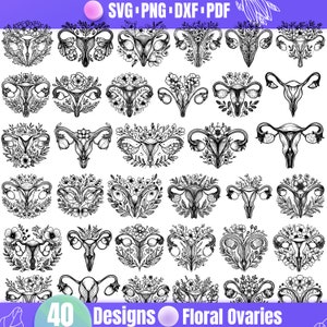 Pacchetto SVG di ovaie floreali di alta qualità, ovaie dxf, ovaie png, ovaie vettore, ovaie clipart, ovaie line art, anatomia della donna svg