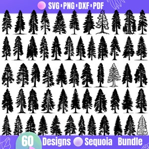 Puede incluir: Un conjunto de 60 diseños de silueta en blanco y negro de árboles de secuoya en varias formas y tamaños. El texto "60 Designs Sequoia Bundle" está en la parte inferior de la imagen.