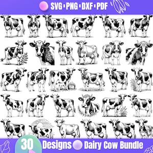 Högkvalitativt mjölkko SVG-paket, mjölkko dxf, mjölkko png, mjölkko vektor, mjölkko clipart, handmjölksko, bondgård svg