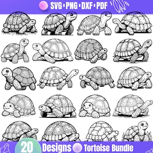 High Quality Tortoise SVG Bundle, Tortoise dxf, Tortoise png, Tortoise vector, Tortoise clipart, Tortoise art, Tortoise print, Nautical svg