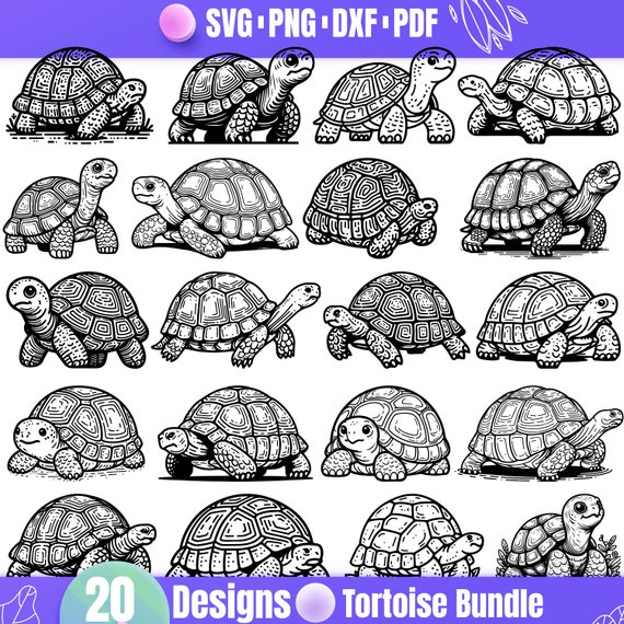 High Quality Tortoise SVG Bundle, Tortoise dxf, Tortoise png, Tortoise vector, Tortoise clipart, Tortoise art, Tortoise print, Nautical svg