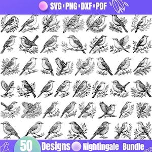 Pode incluir: Um conjunto de 50 ilustrações digitais em preto e branco de rouxinóis. As aves são representadas em várias poses, pousadas em galhos, com folhas e flores. As ilustrações são perfeitas para projetos de artesanato, scrapbooking e design digital.