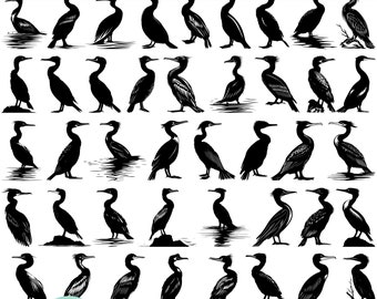 High Quality Cormorant SVG Bundle, Cormorant dxf, Cormorant png, Cormorant vector, Cormorant clipart, Sea Bird svg, Water Bird svg