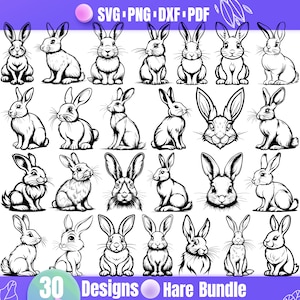 May include: A set of 30 black and white hare illustrations. The hares are in various poses, including sitting, standing, and running. The illustrations are perfect for use in crafting projects, scrapbooking, or digital design.