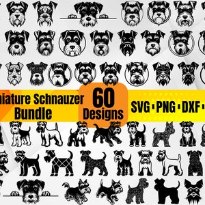 Miniature Schnauzer SVG Bundle — 60 Dog Illustrations and Pet Clipart Designs