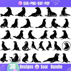 High Quality Seal SVG Bundle, Sea Line svg, Seal dxf, Seal png, Seal vector, Seal  clipart, Seal Animal svg, Seal Bundle, Coast svg