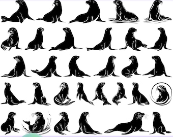 High Quality Seal SVG Bundle, Sea Line svg, Seal dxf, Seal png, Seal vector, Seal  clipart, Seal Animal svg, Seal Bundle, Coast svg