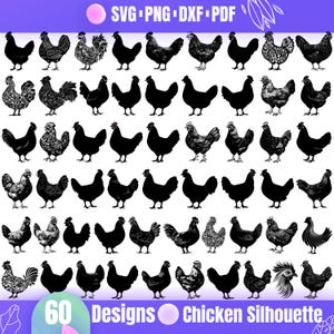 High Quality Chicken SVG Bundle, Poultry svg, Chicken vector, Chicken design, Hen, Farm animal, Farmhouse, Chicken art, Chicken illustration