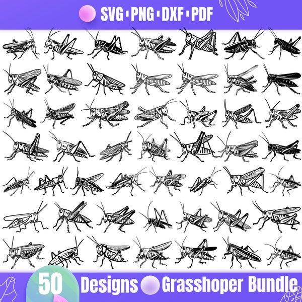 High Quality Grasshopper SVG Bundle, Grasshopper dxf, Grasshopper png, Grasshopper vector, Grasshopper clipart, Jumping Bug svg, Bug svg
