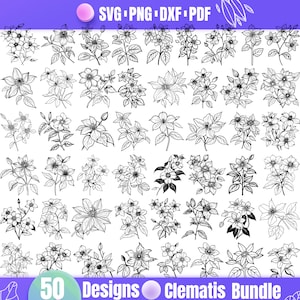 Clematis Svg | Beautiful Floral Clipart | Botanical Png, Dxf, Pdf for Crafts&quot;