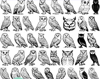 Sneeuwuil SVG – wintervogelontwerp, Arctic Wildlife-clipart, sneeuwuilkunst, digitaal en ambachtelijk ontwerp