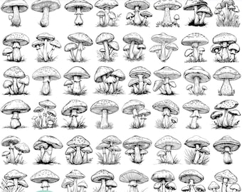 50 Mushroom SVG Bundle, Botanical Fungi Laser Cut Files, Forest Mushroom DXF, Vintage Engraving, Cottagecore Decor