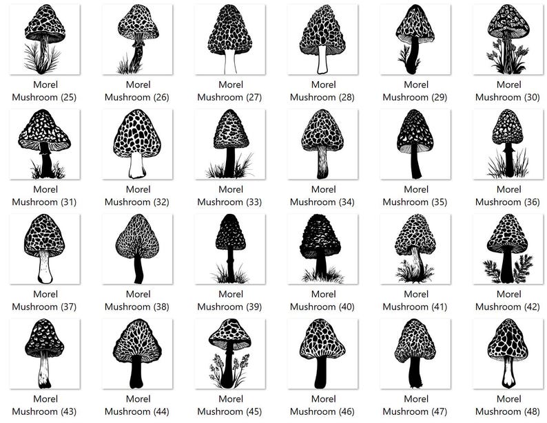 High Quality Morel Mushroom SVG Bundle, Mushroom Vector, Morel Design