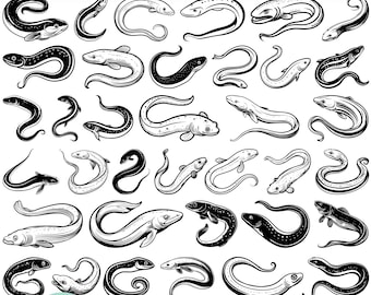 Eel SVG Bundle — 40 Aquatic Animal Illustrations and Sea Life Clipart Designs