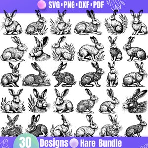 May include: A collection of 30 black and white hare designs in various poses. The illustrations include hares sitting, standing, and with floral accents. Text at the top reads "SVG PNG DXF PDF" and at the bottom "30 Designs Hare Bundle."