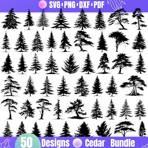 High Quality Cedar SVG Bundle, Cedar dxf, Cedar png, Cedar vector, Cedar clipart, Cedar Wood svg, Tall Cedar svg,Cedar Branch svg,Cedar cone