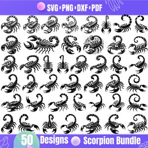 High Quality Scorpion SVG Bundle, Scorpion dxf, Scorpion png, Scorpion vector, Scorpion clipart, Scorpion king svg, Scorpion graphic