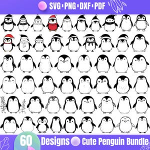 60 Designs Cute Penguin Bundle SVG / Adorabile Clipart di Pinguino / Set di Vettori di Uccelli Invernali / Pinguino per le Vacanze di Natale / File Cricut e Silhouette