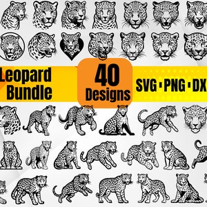 Leopard is Hunting Vector Bundle PNG Graphic by Design SVG