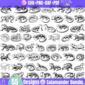 High Quality Salamander SVG Bundle, Salamander dxf, Salamander png, Salamander vector, Salamander clipart, Amphibian svg, Lizard svg