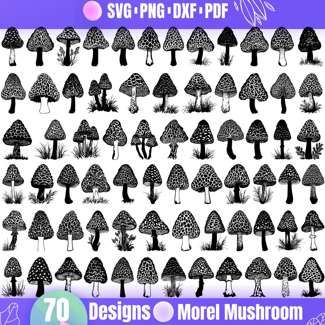 Morrell Svg High Quality Morel Mushroom SVG Bundle, Mushroom Vector, Morel Design ...