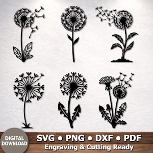 May include: A collection of six black silhouette illustrations of dandelion flowers in various stages of growth and seed dispersal. The designs feature intricate stems, jagged leaves, and spherical seed heads, presented as digital files for cutting.