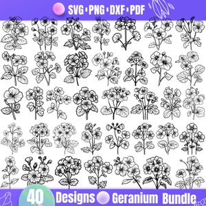 Geranium Svg - Elegant Floral Design for Crafts and Home Decor