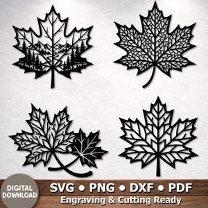 Puede incluir: Cuatro diseños de hojas de arce en negro en formato de archivo digital. Una hoja presenta un paisaje de montaña y bosque, mientras que las otras muestran intrincados patrones de venas. El texto dice: DIGITAL DOWNLOAD SVG PNG DXF PDF Engraving & Cutting Ready.