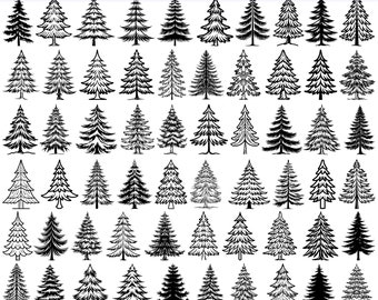 High Quality Spruce Tree SVG Bundle, Spruce Tree dxf, Spruce Tree png, Spruce Tree vector, Spruce Tree clipart, Evergreen Tree svg,Pine Tree