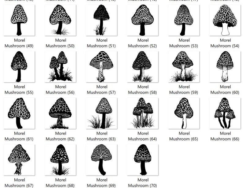 High Quality Morel Mushroom SVG Bundle, Mushroom Vector, Morel Design