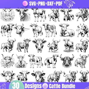 Cattle SVG Bundle — 30 Farm Animal Illustrations and Livestock Clipart Designs