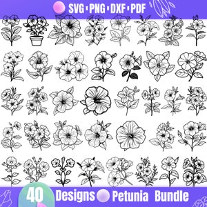 Petunia Svg - Beautiful Floral Design for Craft Projects