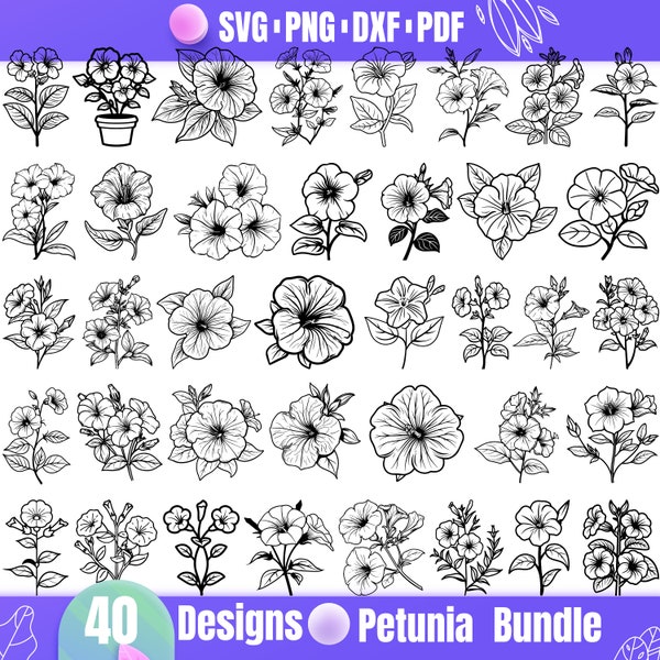 High Quality Petunia SVG Bundle, Petunia dxf, Petunia png, Petunia vector, Petunia clipart,Petunia svg, Petunia Flower svg, Petunia Drawing