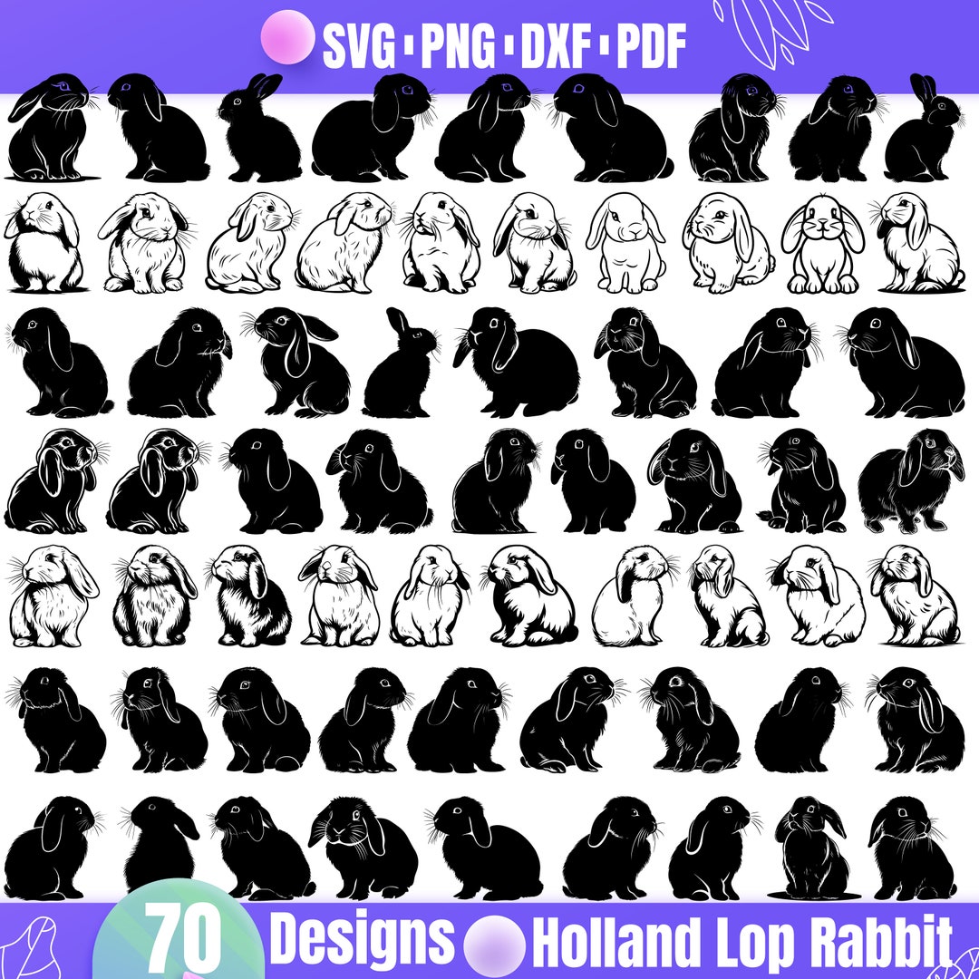 High Quality Holland Lop Rabbit SVG Bundle, Holland Lop Rabbit Dxf ...